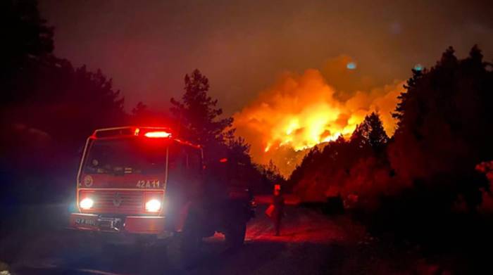 В Турции локализовали 42 лесных пожара