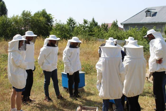 Для малообеспеченной молодежи созданы пчеловодческие хозяйства 