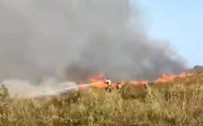 Пожар в Национальном парке Гызылагач