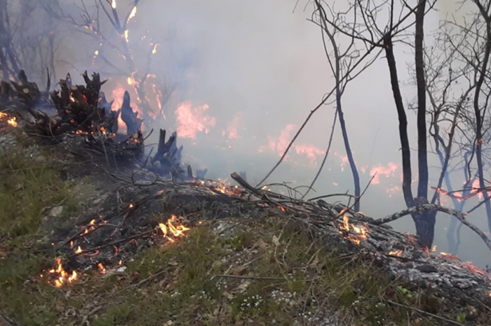 К тушению пожара в Ярдымлы привлечен вертолет