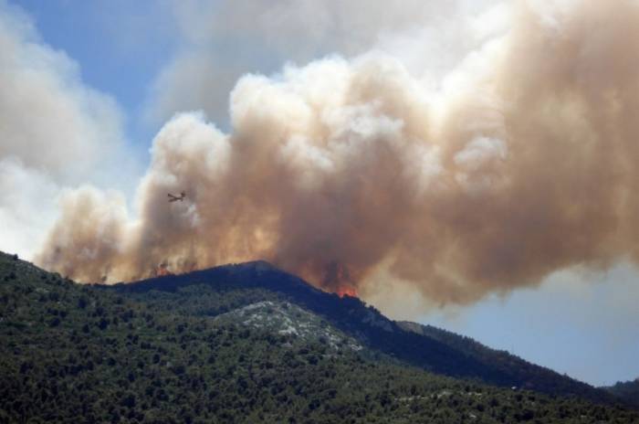 В Башкирии продолжают гореть леса