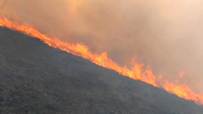 В Агсу локализуют пожар в высокогорном селе
