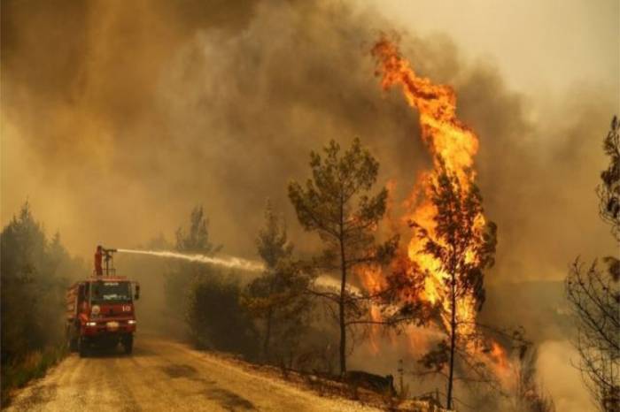 Турецкий министр: Из 101 пожара уже взят под контроль 91