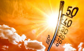 Июль стал самым жарким месяцем в мире