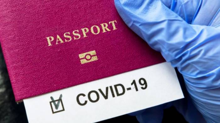 МВД расследует факты выдачи фальшивых COVID-паспортов