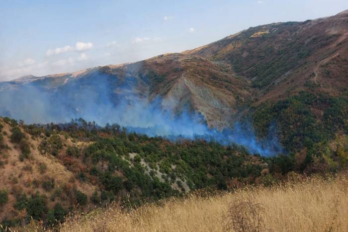В Исмаиллы пожар перекинулся на лесную территорию