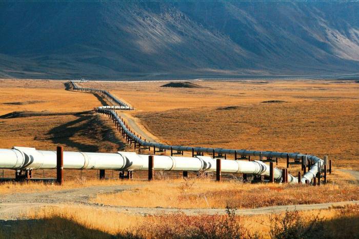 Турция закупит у Азербайджана 11 млрд. кубометров газа
