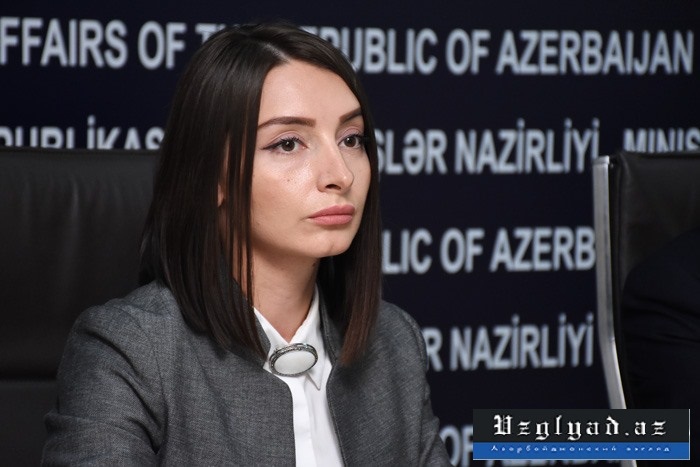 Лейла Абдуллаева: Проводится большая работа по восстановлению освобожденных территорий Азербайджана