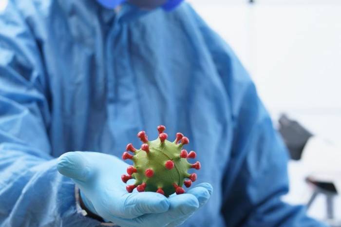 ВОЗ сообщила о снижении смертности от коронавируса на 10% за неделю в мире
