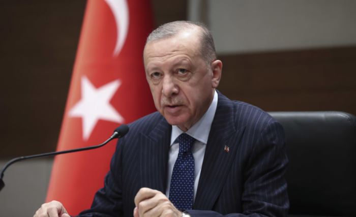 Эрдоган обсудил с Шольцем перспективу присоединения Турции к ЕС
