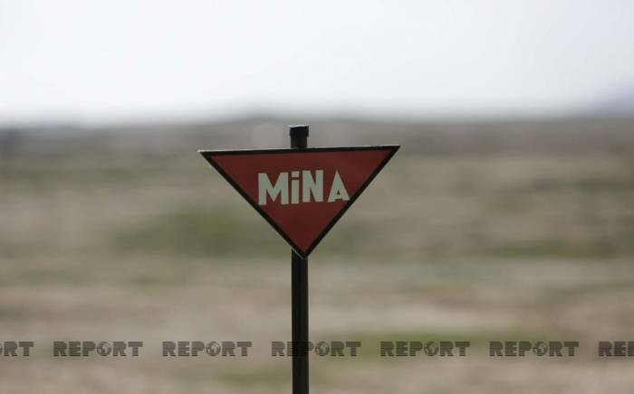 В МЧС обратились к гражданам в связи с минной угрозой
