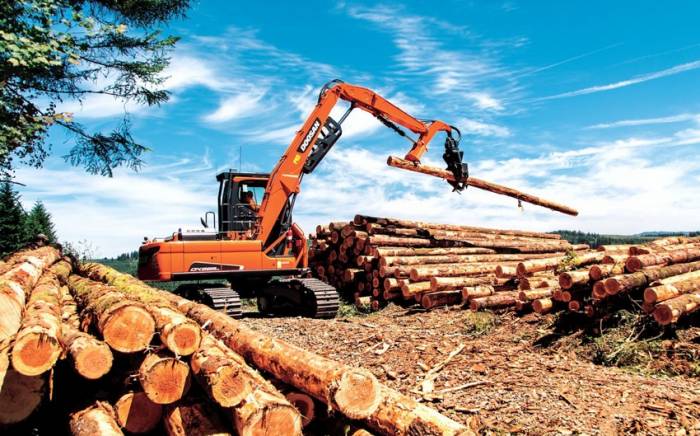 Россия нарастила экспорт продуктов лесной промышленности в Азербайджан