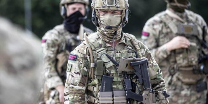 Министр обороны Британии оценил возможность отправки войск на Украину
