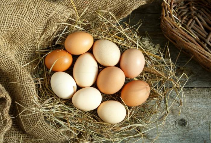Спасение от коронавируса нашли в куриных яйцах