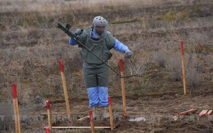 Посол Великобритании: Мы реализуем план по разминированию освобожденных земель
