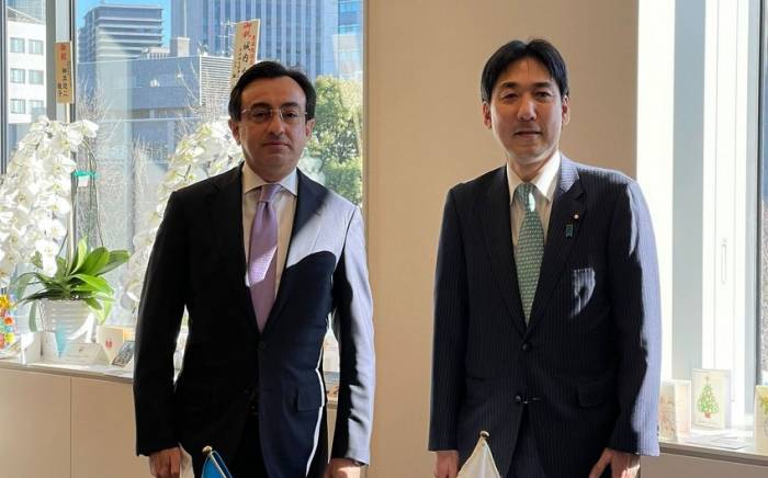 Азербайджан и Япония обсудили межпарламентское сотрудничество