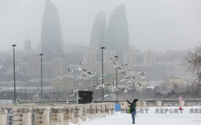 Завтра в Баку выпадет снег
