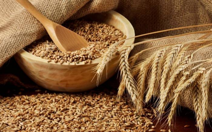 Названо влияние глобального роста цен на пшеницу на Азербайджан