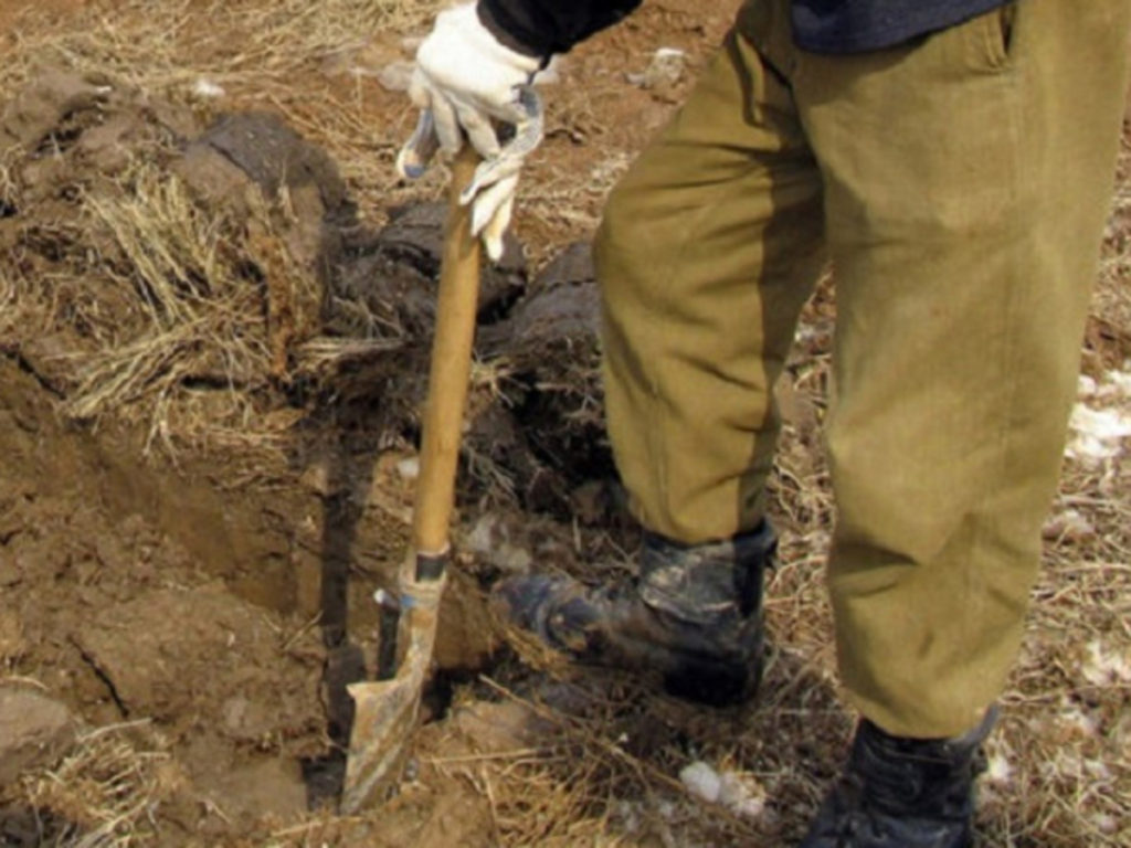 Обнаружены захоронения напавших на Алматы боевиков
