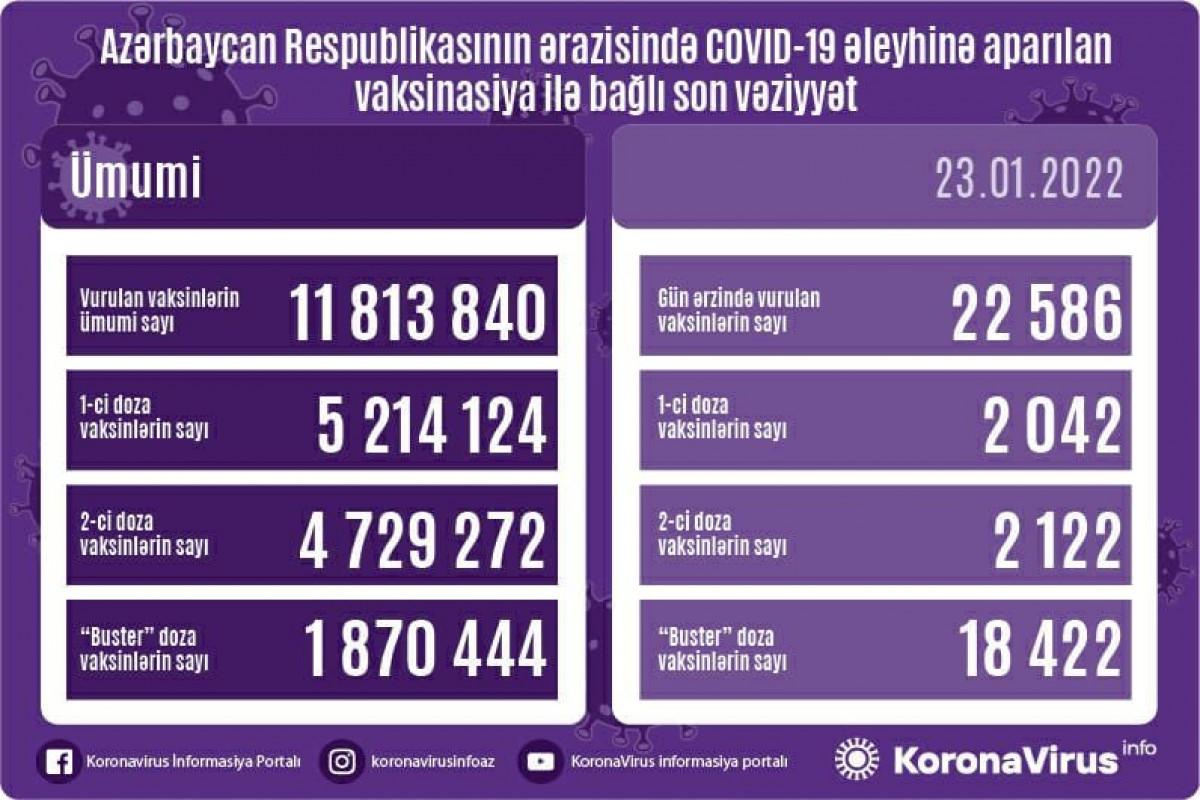 Обнародовано число вакцинированных в Азербайджане за сутки