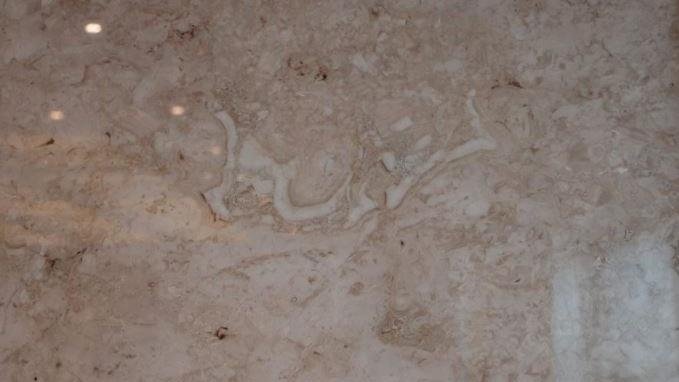 Работники мраморного карьера в Анталье обнаружили на камне чудо Аллаха