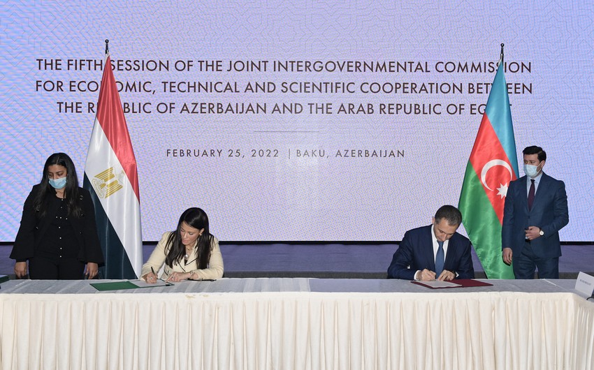 Азербайджан и Египет создадут совместный Бизнес совет