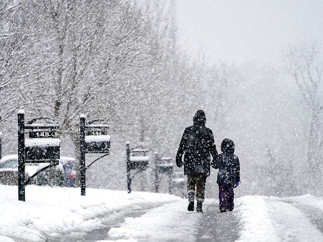 В США около 300 тысяч человек остались без электричества из-за зимнего шторма
