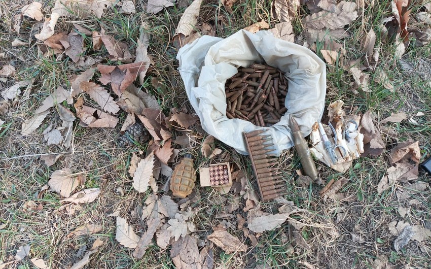 В Самухе на территории парка обнаружены боеприпасы