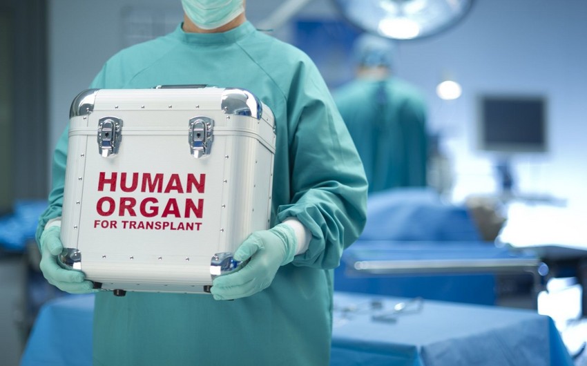 В Азербайджане трансплантация органов включена в пакет услуг по ОМС