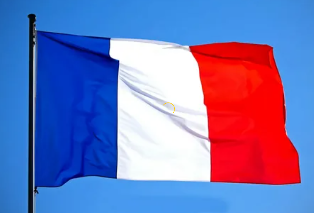 Францию призвали к экономии газа
