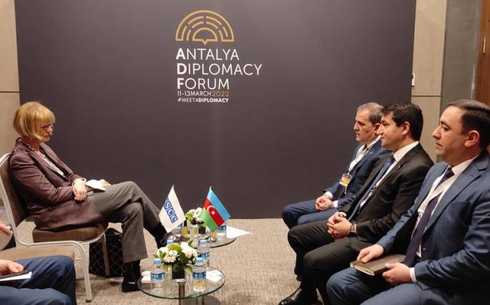 Глава МИД Азербайджана встретился с генсеком ОБСЕ
