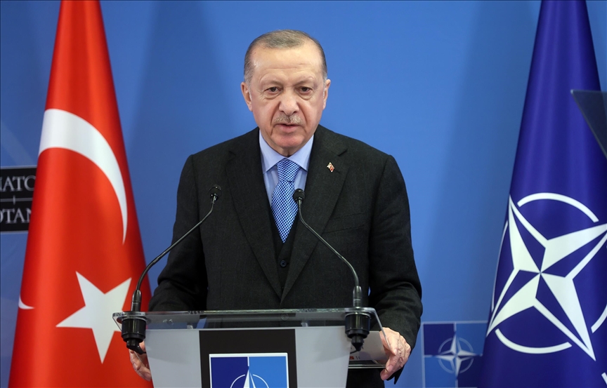 Президент Эрдоган: Турция прилагает все усилия, чтобы остановить войну в Украине
