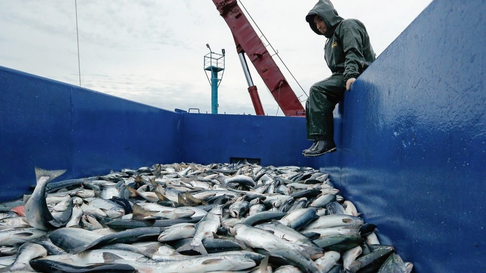 Швейцария запретила поставки морепродуктов, цемента и водки из России
