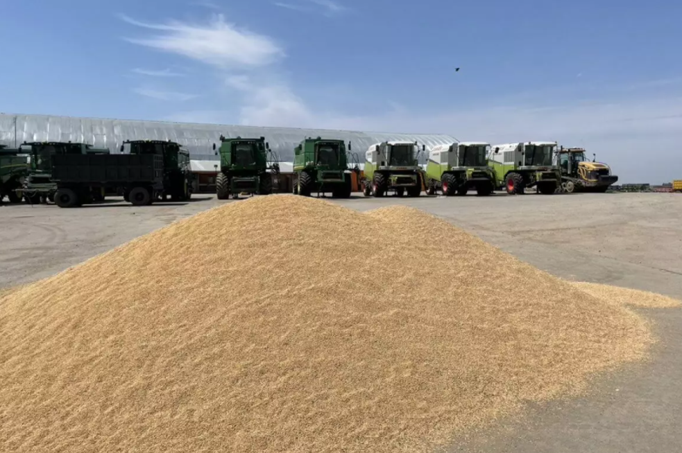 Россия запретила вывозить в Казахстан десятки тонн семян
