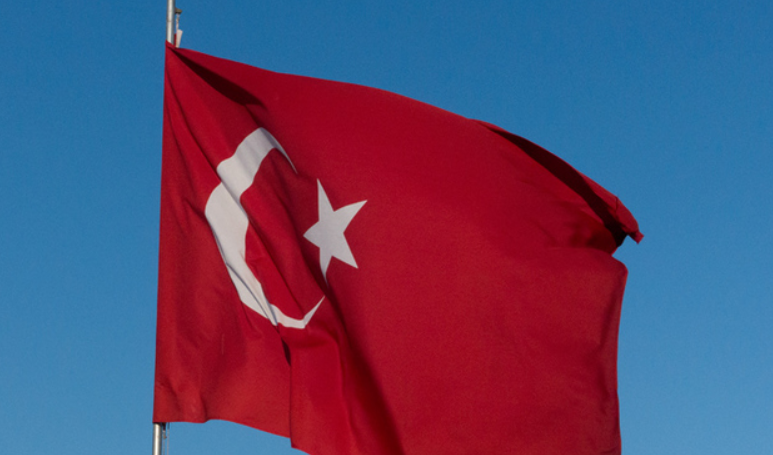 Турция поставила условия Швеции и Финляндии по членству в НАТО
