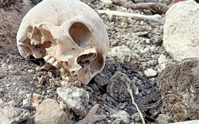 Эксгумированы останки, найденные в Фаррухе
