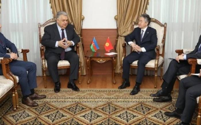 И.о. главы МИД Кыргызстана встретился с послом Азербайджана
