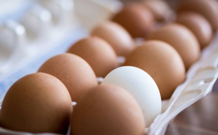 Цены на яйца в США резко выросли на фоне вспышки птичьего гриппа в стране

