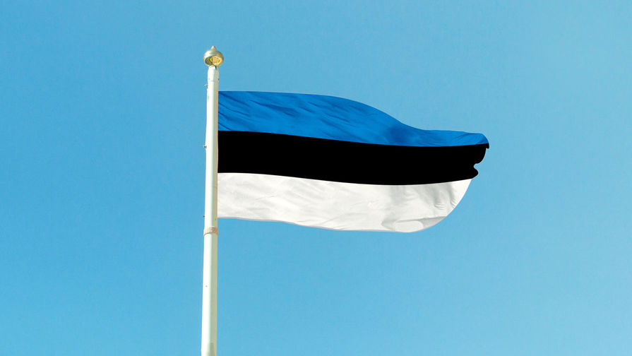 В Эстонии задержаны два руководителя Sputnik Meedia