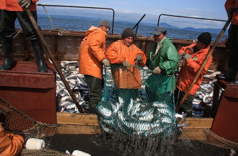 Япония и Россия достигли соглашения по квоте на вылов лососевых