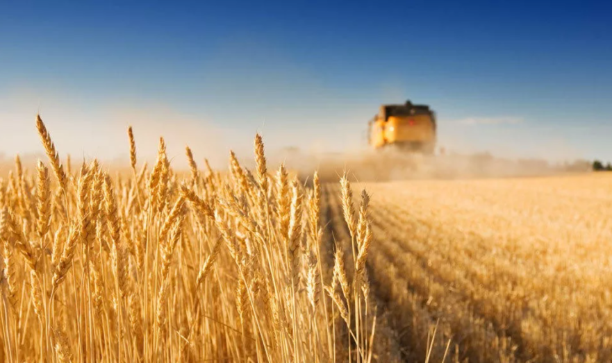 Президент Эстонии предложил вывезти все зерно с Украины