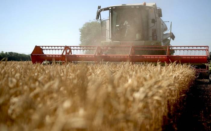 Израиль предоставит Азербайджану технологии для выращивания зерна
