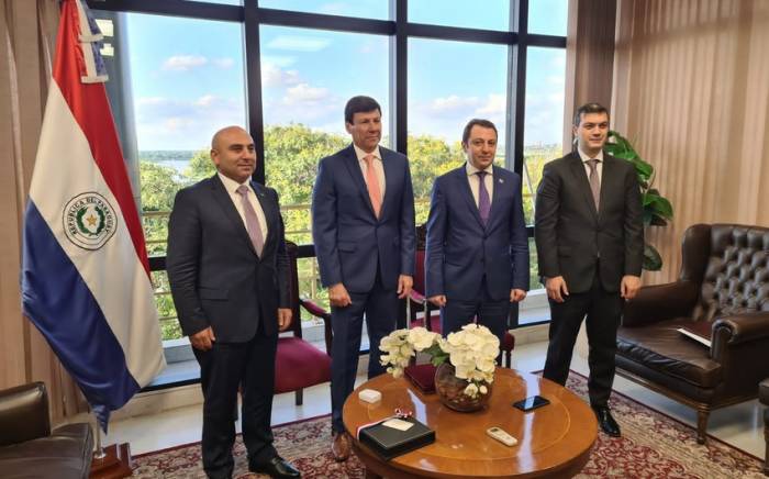 Замглавы МИД Азербайджана встретился с председателем Сената Парагвая
