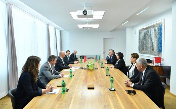 Председатель Милли Меджлиса встретилась с вице-президентом Швейцарии
