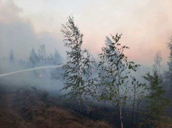В Сибири начались лесные пожары
