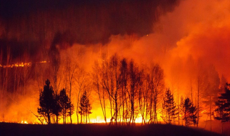 В России из-за природных пожаров погибли 16 человек
