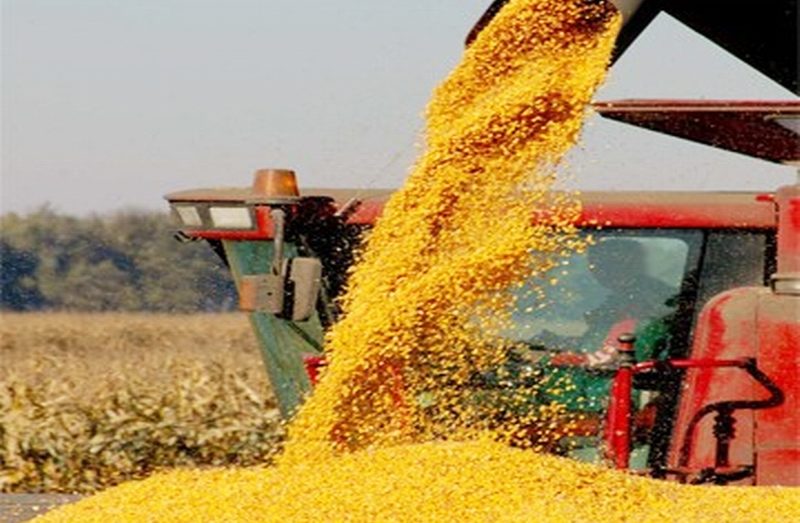 Более 25 млн тонн зерна застряли на Украине из-за блокировки портов
