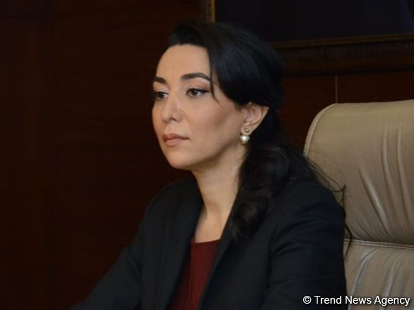 Омбудсмен Азербайджана выступила с заявлением в связи с нападением армянских радикалов на культурный центр страны в Париже
