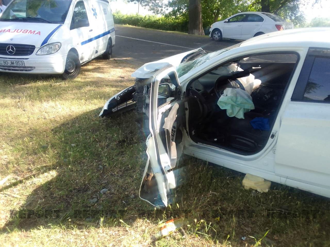 В Огузе автомобиль врезался в дерево, водитель госпитализирован - ФОТО
