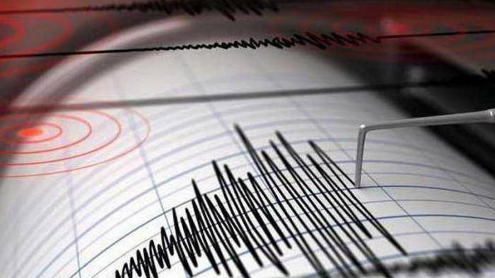 В Узбекистане ощущали землетрясение силой 2-3 балла, произошедшее в Афганистане
